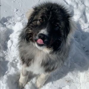 Meet your Posher, Kelsi